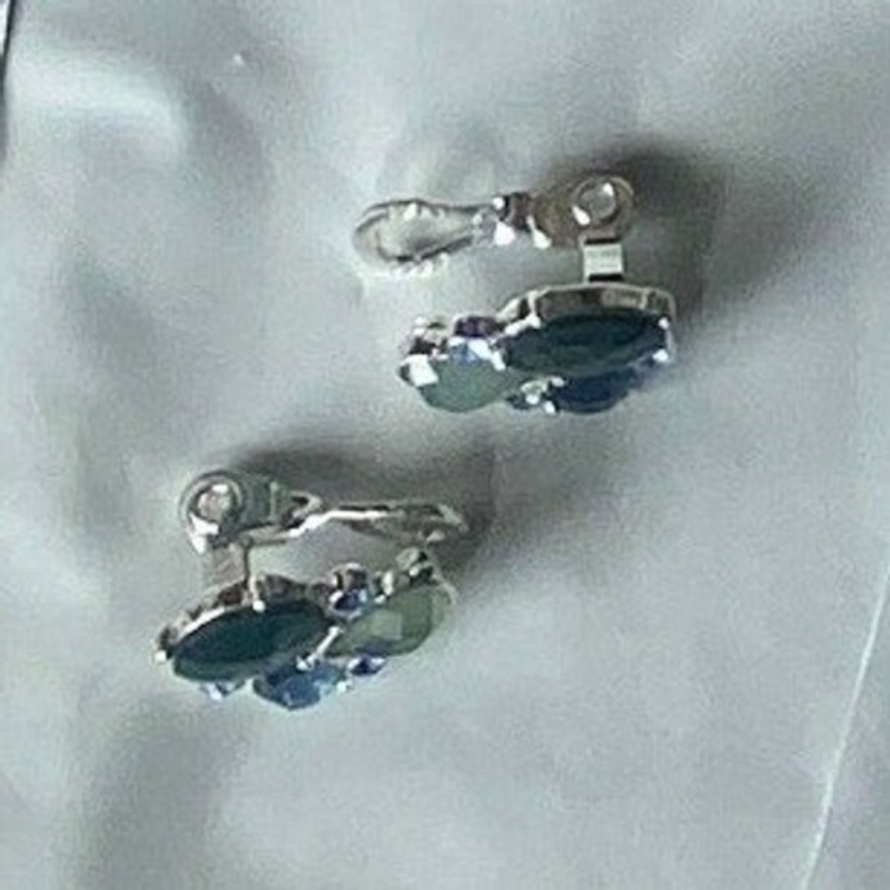 Silver Tone Blue Stone Stud Earrings